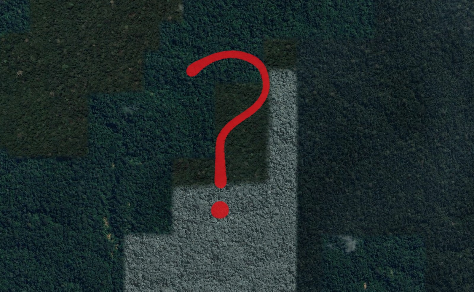 Forest canopy with a question mark representing limited field data